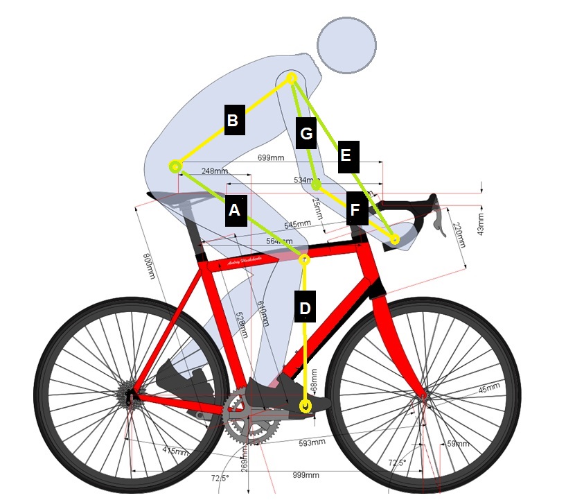 body geometry fit